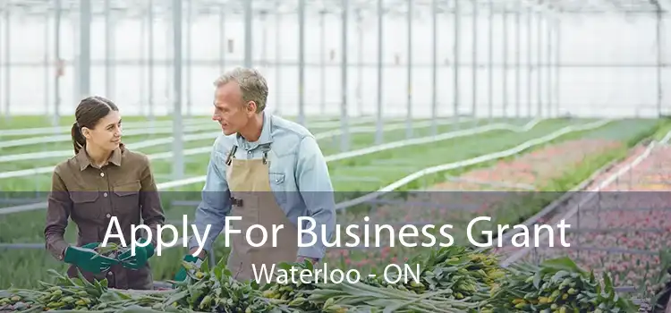 Apply For Business Grant Waterloo - ON